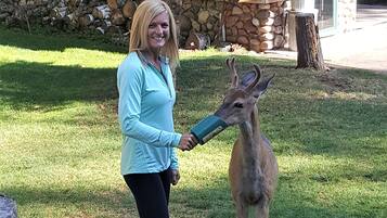 A person holding a deer in a grassy area with a stone wall and wooden cabin in the background.