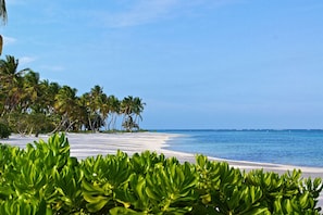 A beach with white sand, palm trees, and clear blue water. - Los Ensueños: Dream villa near beach w/ pool, Jacuzzi, housekeeper & golf cart (Punta Cana)