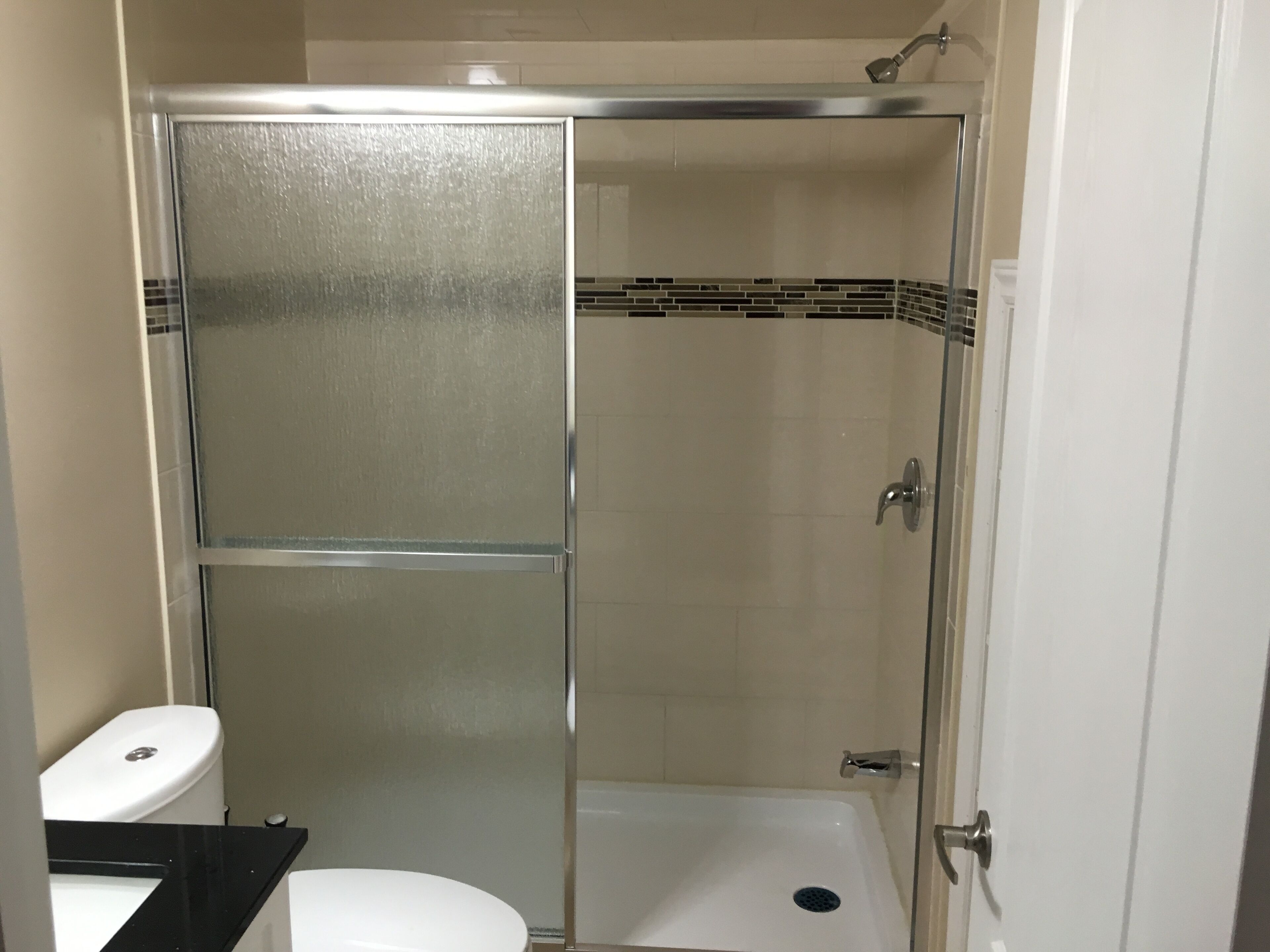 A bathroom with a glass-enclosed shower, a white toilet, and a black countertop.