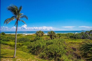 En la playa, camastros y toallas de playa 