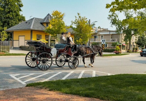 A horse-drawn carriage on a residential street.