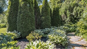 A garden with a stone pathway, various shrubs, and tall evergreen trees. - Arbour House, 1830 Historic Home (Niagara-on-the-Lake)