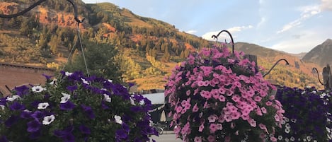 Terrain de lâhĂ©bergement