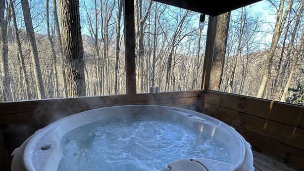 Ein Whirlpool in einer Holzhütte mit Blick auf kahlstehende Bäume.