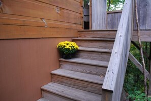 Property grounds - Pisgah Paws • Pet-Friendly Cabin with Hot Tub & Forest Views (Candler)