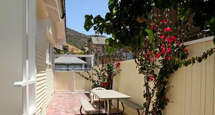 225CL: Colorful Avalon Cottage, Quick Walk to the Beach, Spacious Side Yard - 22