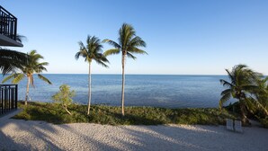 Blick auf einen Strand mit Palmen und blauem Himmel.