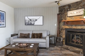 TV, fireplace