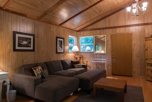 Smart TV, fireplace, DVD player, books