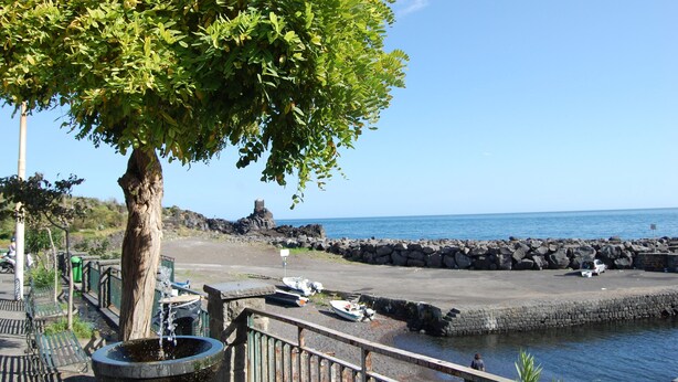 A coastal walkway with a large tree, a stone wall, and a calm sea. - Three room apartment :Seafront residence with pool and garden (Santa Tecla di Acireale)