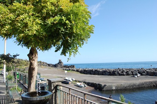 Three room apartment :Seafront residence with pool and garden