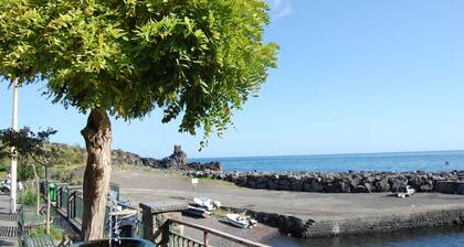 Three room apartment :Seafront residence with pool and garden