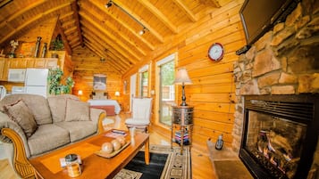TV, fireplace, DVD player, books