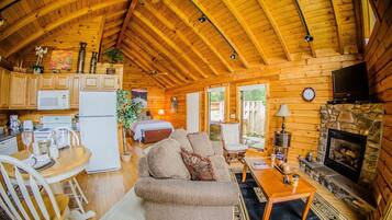 TV, fireplace, DVD player, books