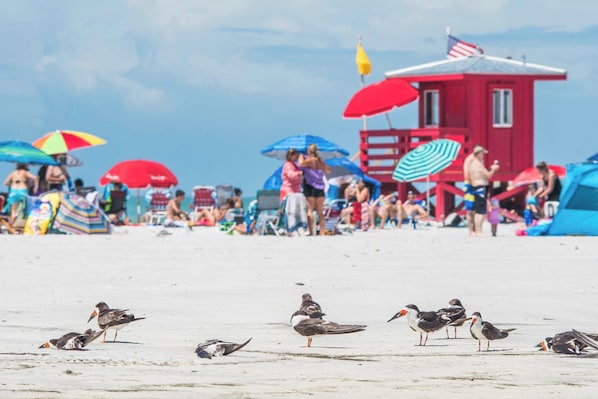 A beach scene with a lifeguard tower, umbrellas, and people.
