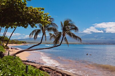 Kanai A Nalu Unit 302 Direct Oceanfront View