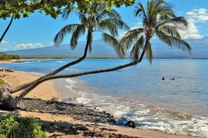 On the beach - Kanai A Nalu Unit 302 Direct Oceanfront View (Wailuku)
