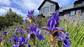 A garden with purple irises in front of a wooden house. - Waterfront | Hot Tub | Firepit | King Bed - 6H (Ucluelet)