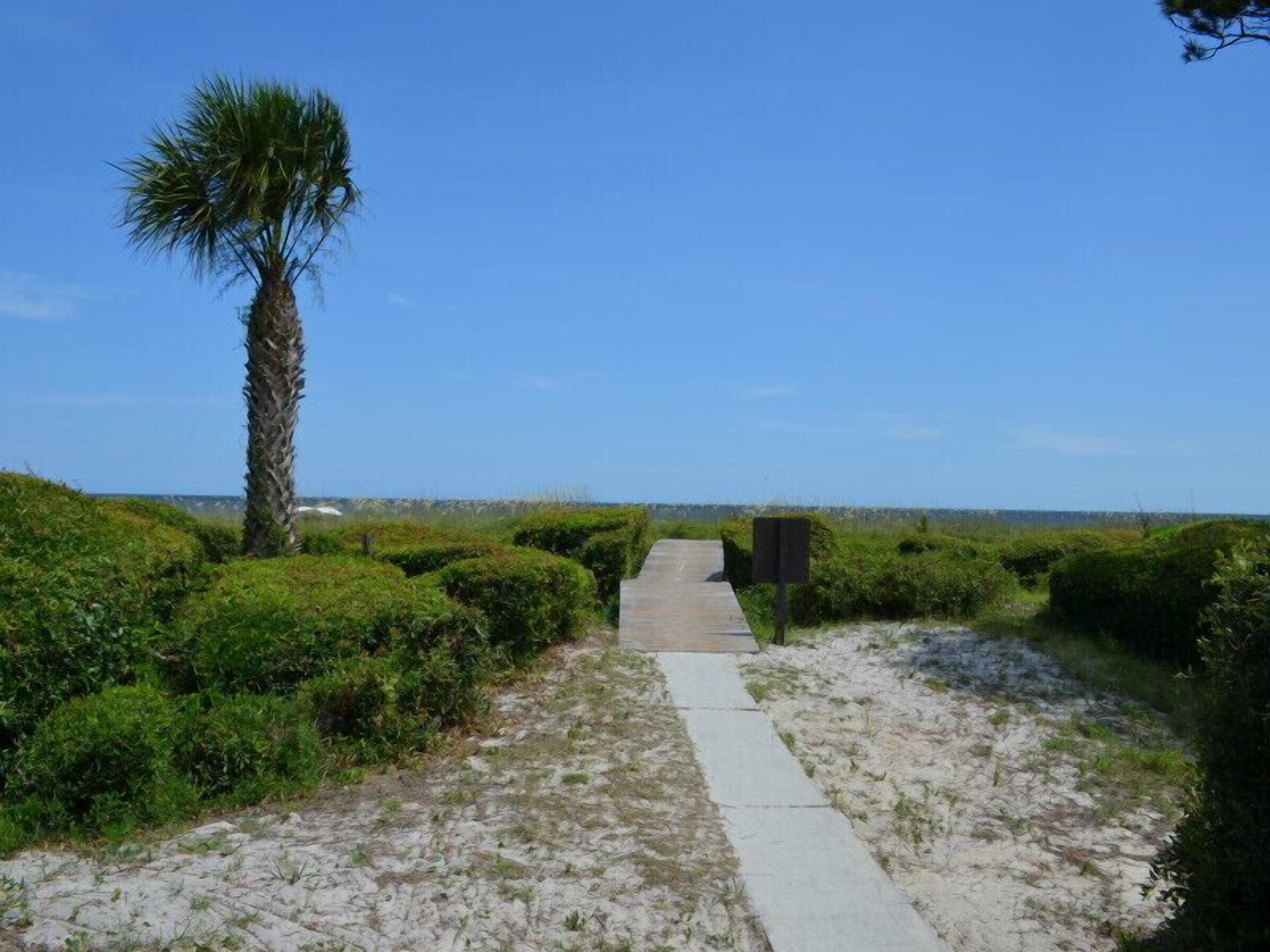 Ein Weg, der zu einem Strand mit einer Palme und üppiger Vegetation führt.
