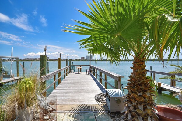 A wooden pier extending into calm water, with a palm tree in the foreground and a city skyline in the background.
