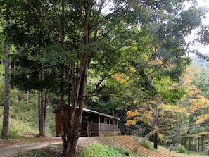 The beautiful Stardance cabin