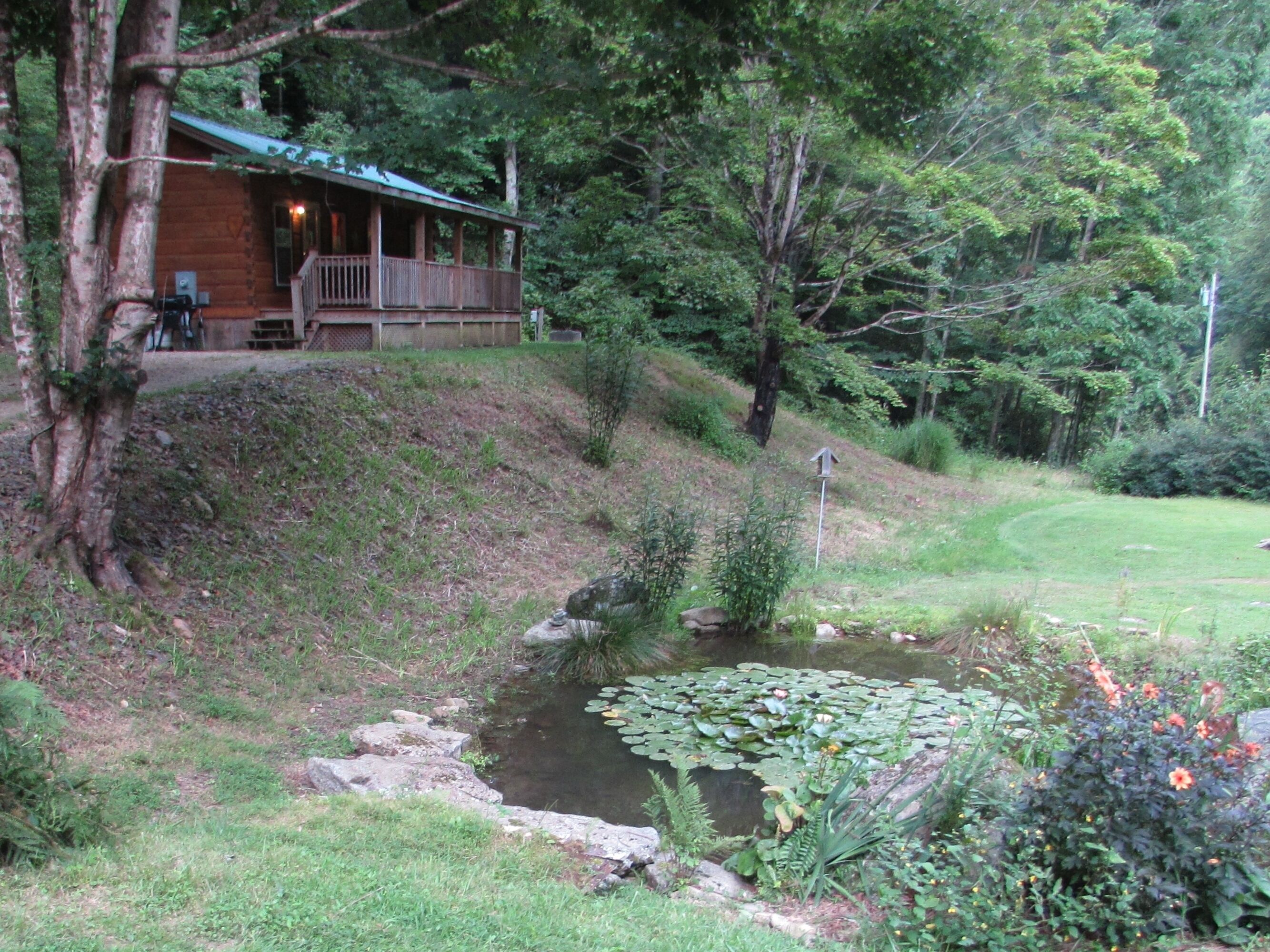 A cabin with a deck, surrounded by lush greenery and a pond with lily pads.