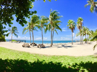 Private Beach steps from condo-no stairs-king size bed-fast wifi-it's loaded.