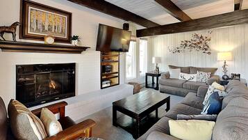 Fernseher, Kamin, DVD-Player, Videothek