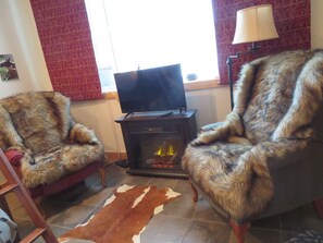 Smart TV, fireplace, books