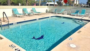 A rectangular pool with clear blue water, surrounded by lounge chairs and palm trees. - Cocoa Beach Paradise - direct ocean (Cocoa Beach)