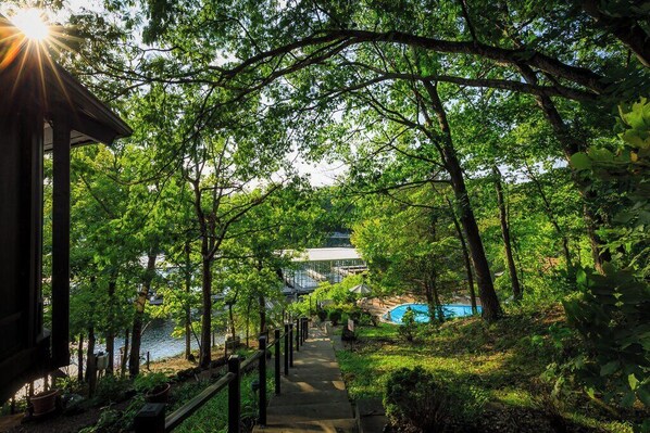 A pathway leading to a pool area surrounded by trees.