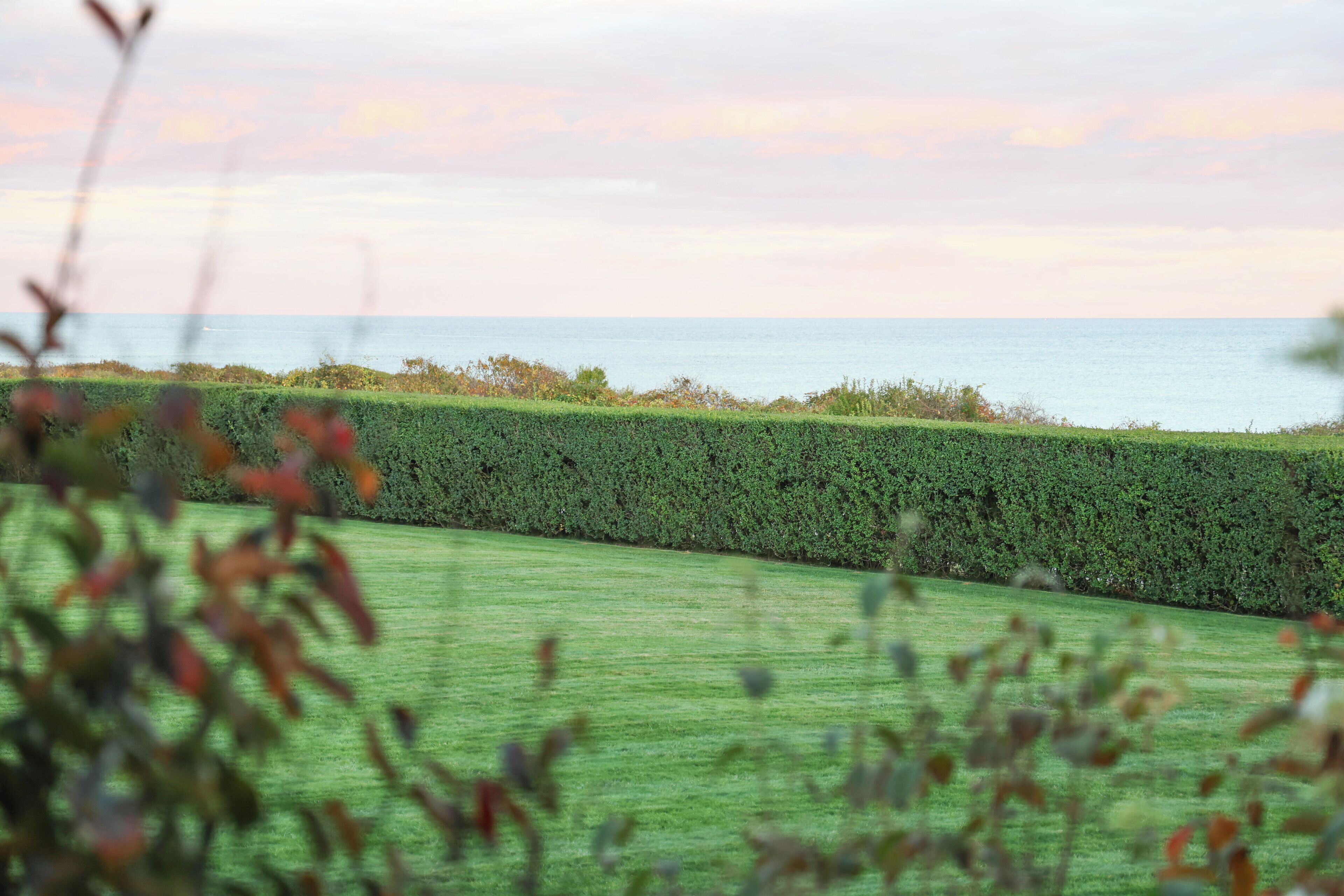 Un espace aménagé avec une haie et une vue sur la mer.
