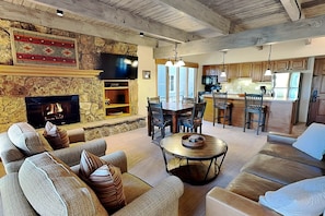 TV, fireplace, DVD player, books