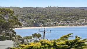 A coastal landscape with a beach, houses, and a hill with dense vegetation.