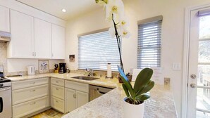 A modern kitchen with white cabinets, a granite countertop, a sink, and a potted orchid. - Beautiful Magnolia House in Napa Valley! (Napa)