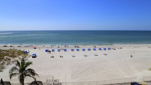 A beach with rows of blue beach chairs and umbrellas, a palm tree, and a clear blue sky. - Direct Beachfront 3B2B Gulf - Beach Place #408 (Madeira Beach)