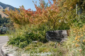 Welcome to Village at Greyhawk, nestled among lush vegetation and scenic mountains.