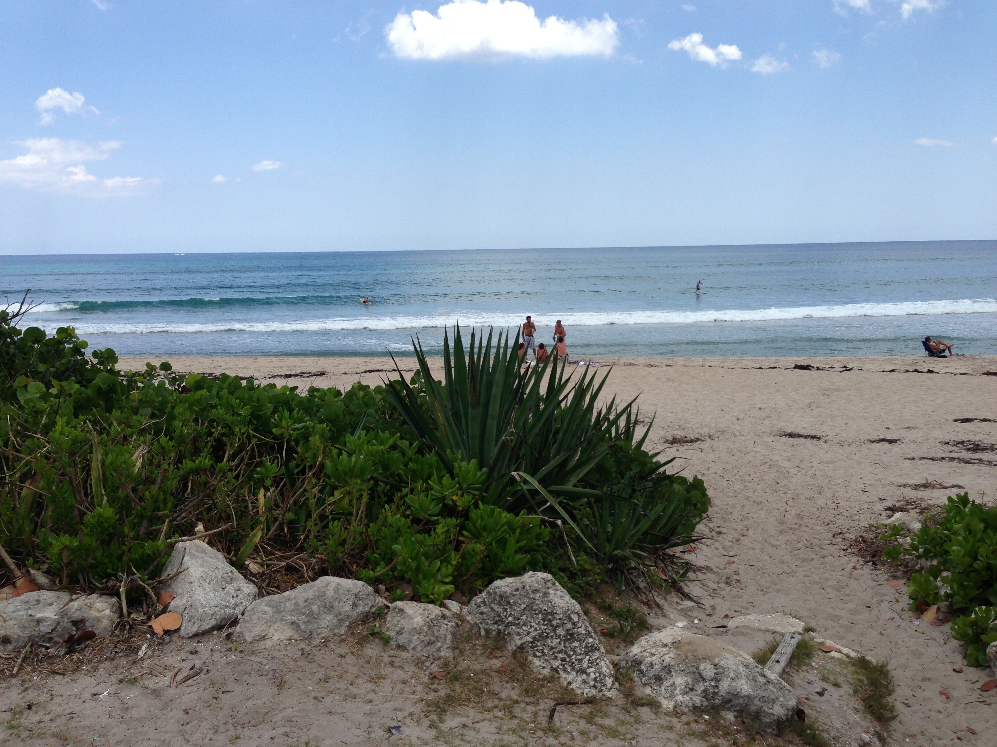 A la platja, gandules de platja i tovalloles de platja 