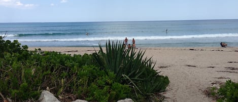 En la playa, camastros y toallas de playa