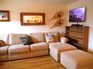 TV, fireplace, DVD player