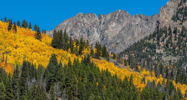 A mountain landscape with autumn-colored trees and a rocky mountain range in the background. - Cozy Ski-in/Walk-out condo, free wifi, & parking, great value (Copper Mountain)