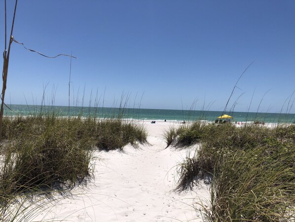 En la playa y camastros 