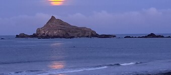 Pas à Pebble Beach & Short Drive à Redwoods