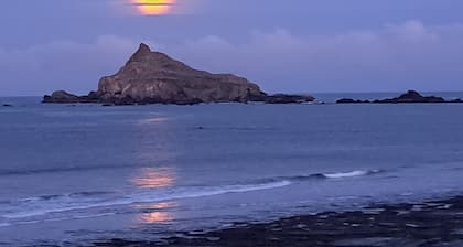 Jalat Pebble Beachille ja lyhyt ajomatka Redwoodsiin