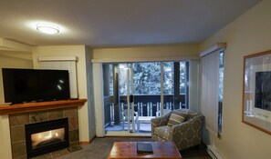 Living area with fireplace