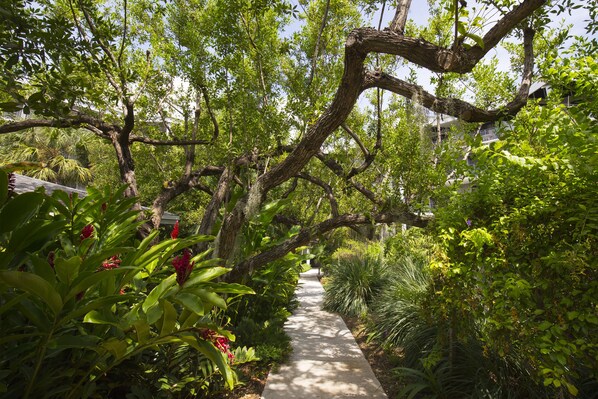 Un sendero serpentea por un jardín exuberante con diversas plantas y árboles.