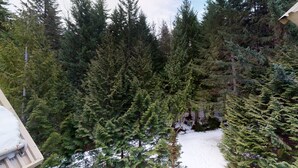 Een dicht bos met hoge altijdgroene bomen, een met sneeuw bedekte grond en een gebouw met een schuin dak.