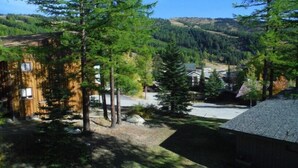 A residential area with a large wooden building, several trees, and a small house with a flag. - Rustic Mountain Condo (Whitefish)