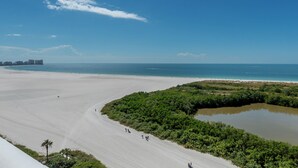 A beach with a clear view of the ocean, a sandy path, and dense greenery.