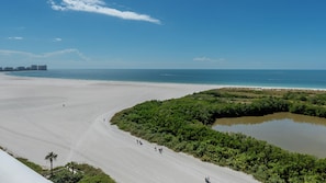 A beach with a clear view of the ocean, a sandy path, and dense greenery. - South Seas Tower 3 1612- Stunning Beachfront Condo just Renovated (Marco Island)